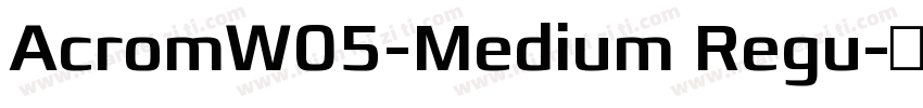 AcromW05-Medium Regu字体转换